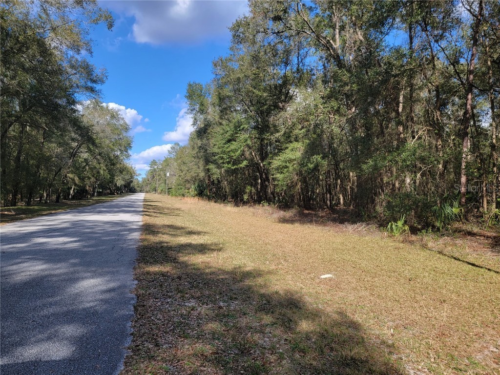  Eustis FL 32736 OM651908 image1