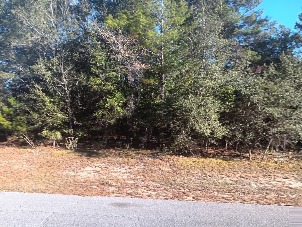 Eva Place Chipley FL 32428 S5140340 image2