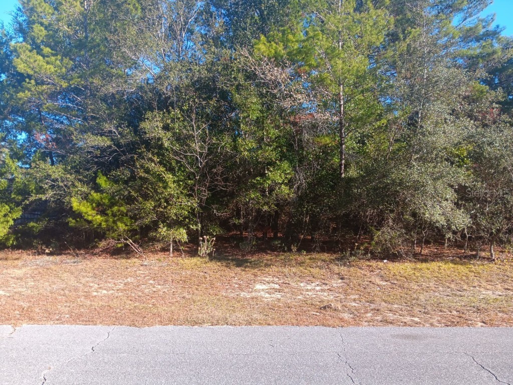 Eva Place Chipley FL 32428 S5140340 image3