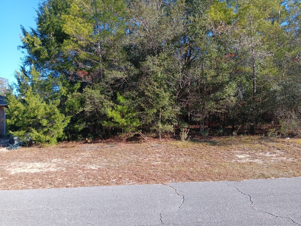 Eva Place Chipley FL 32428 S5140340 image4
