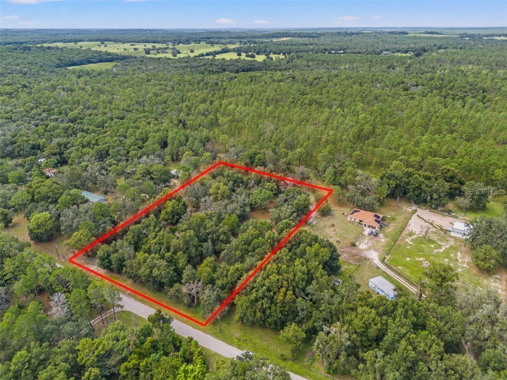 Evaline Street Brooksville FL 34601 O6237470 image2