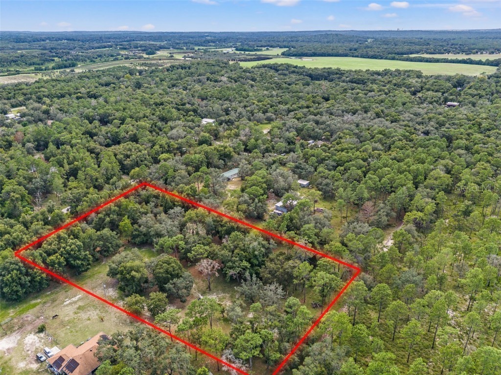 Evaline Street Brooksville FL 34601 O6237470 image3