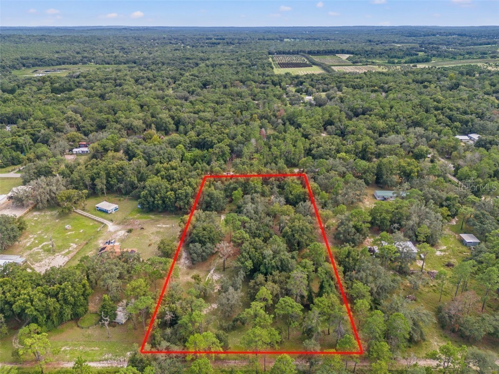 Evaline Street Brooksville FL 34601 O6237470 image4