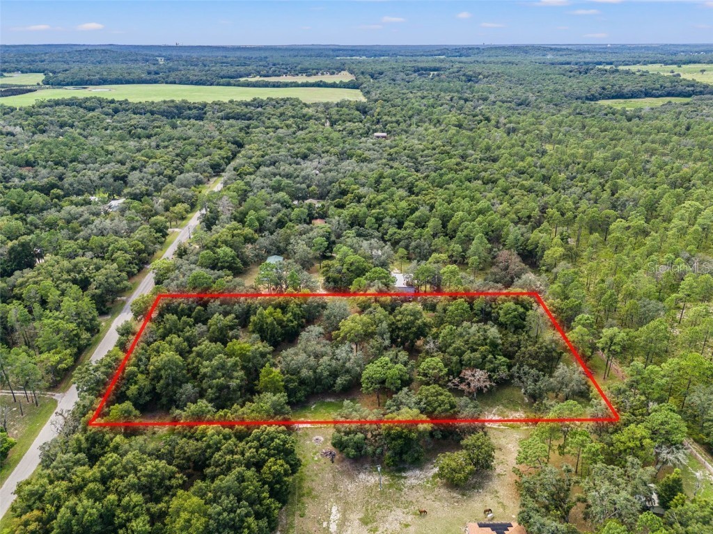 Evaline Street Brooksville FL 34601 O6237470 image5