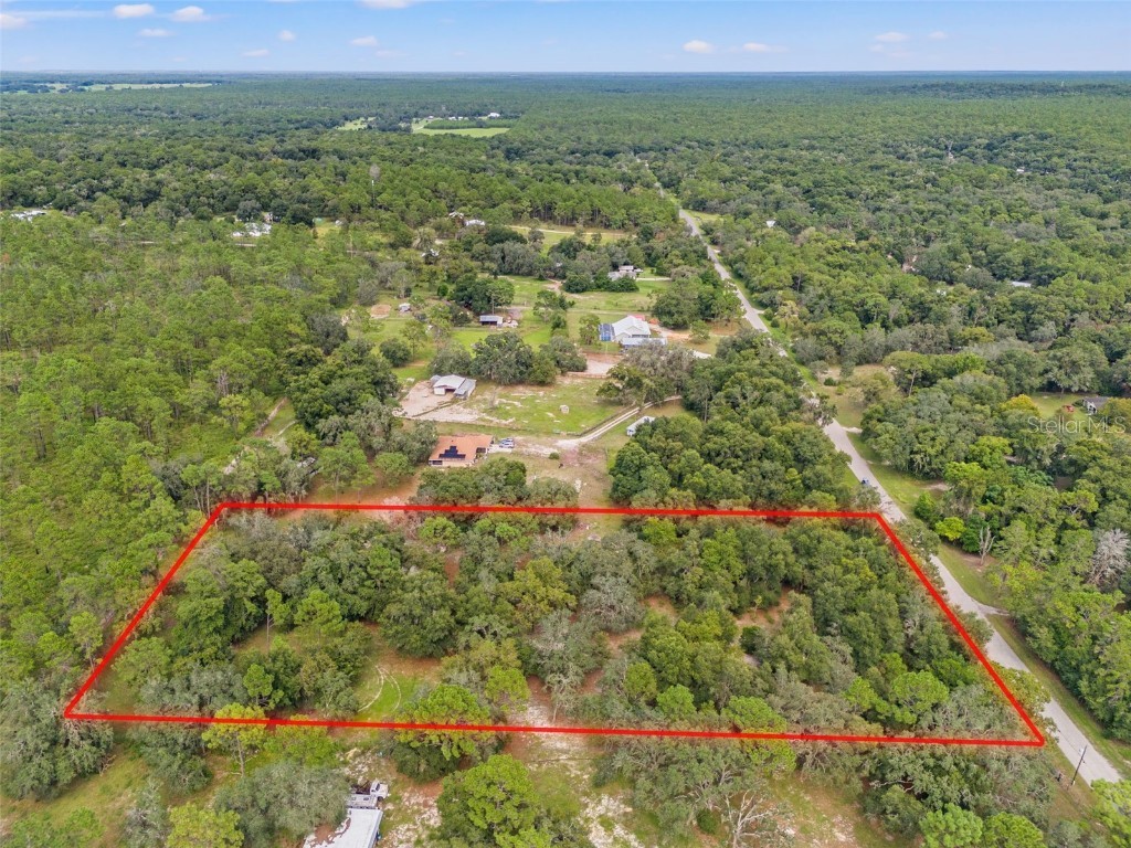 Evaline Street Brooksville FL 34601 O6237470 image6