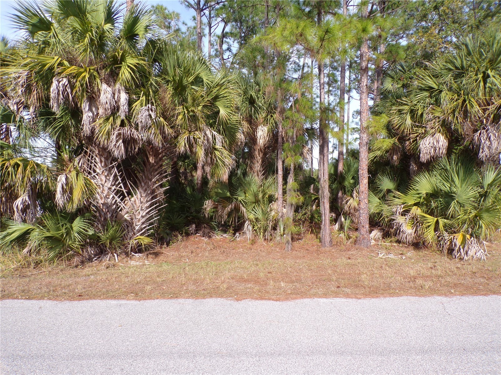 Evangelina Lane North Port FL 34286 C7520385 image1