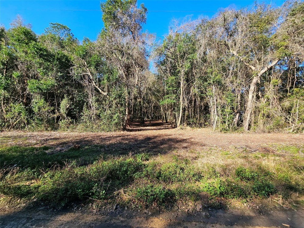 Evans Avenue Interlachen FL 32148 GC518831 image1