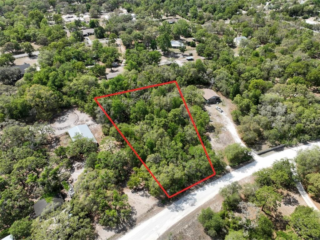 Evelyn Ct Spring Hill FL 34610 O6290319 image1