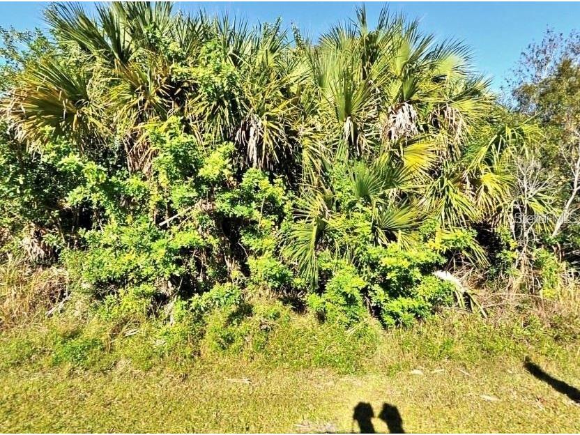 Everett Terrace North Port FL 34286 A4668741 image1