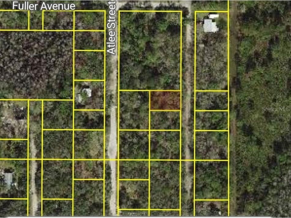 Evergreen Street New Port Richey FL 34654 W7878216 image2