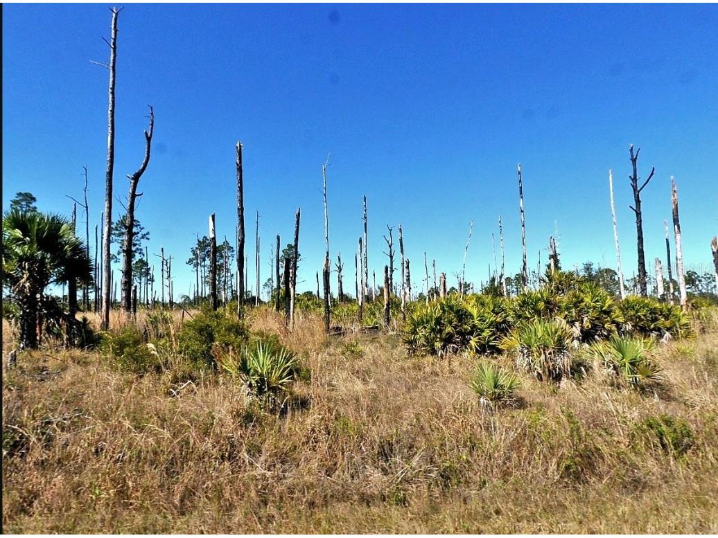 Ewen Circle North Port FL 34288 N6137856 image1