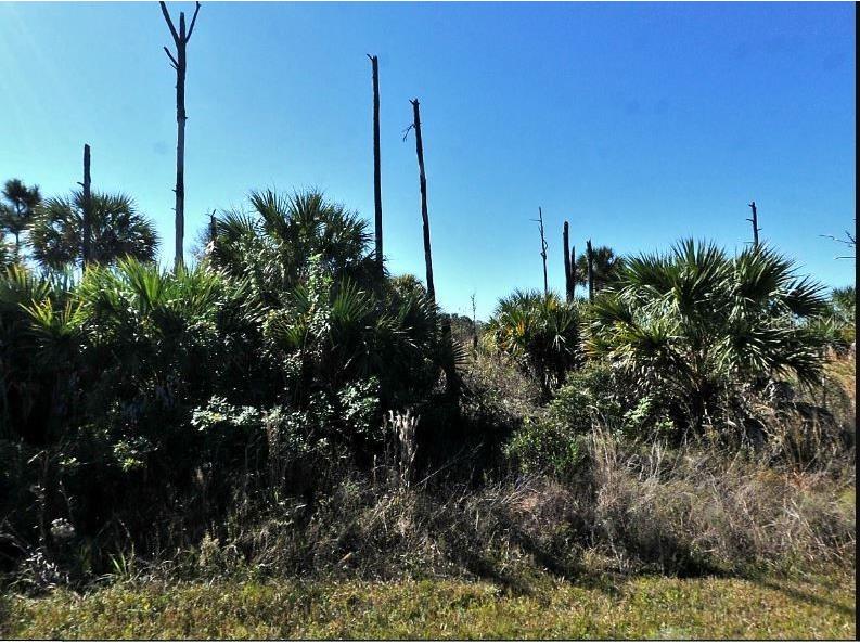 Ewen Circle North Port FL 34288 O6188727 image2