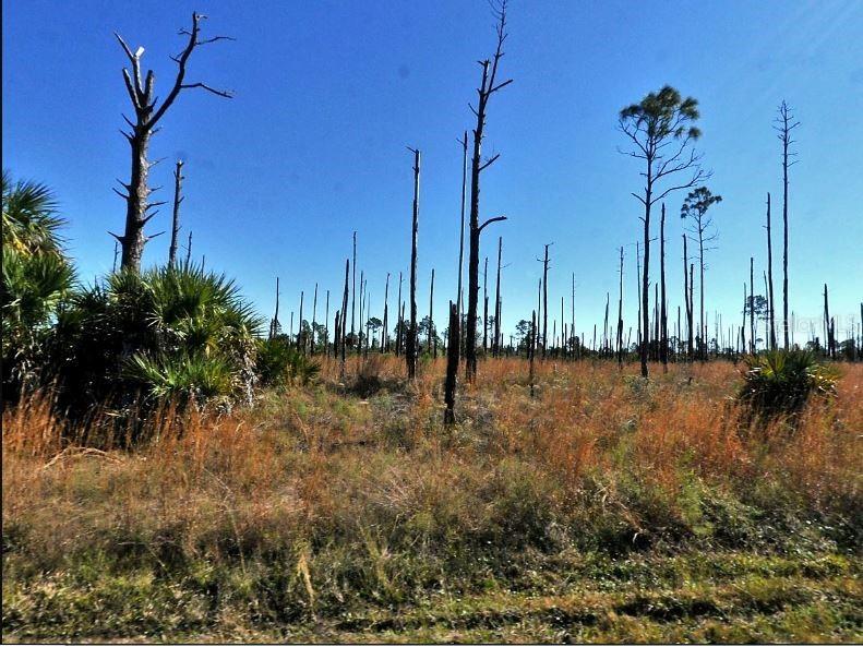 Ewen Circle North Port FL 34288 O6191353 image2