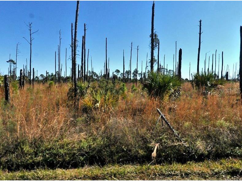 Ewen Circle North Port FL 34288 O6199524 image2