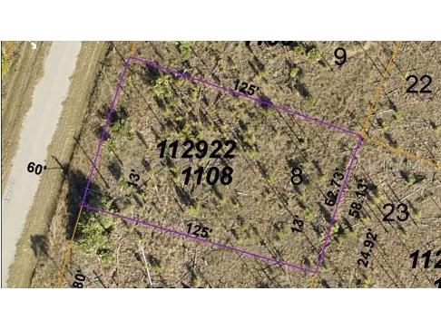 Ewen Circle North Port FL 34288 O6199524 image5