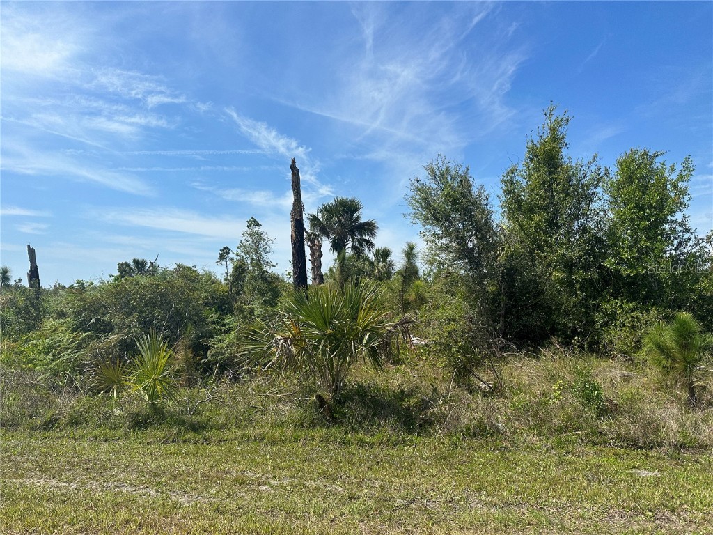 Ewen Drive North Port FL 34288 C7472536 image1