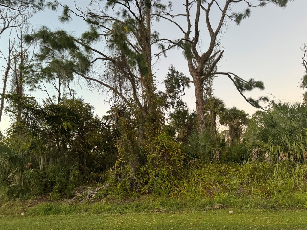 Ewen Drive North Port FL 34288 C7485211 image1