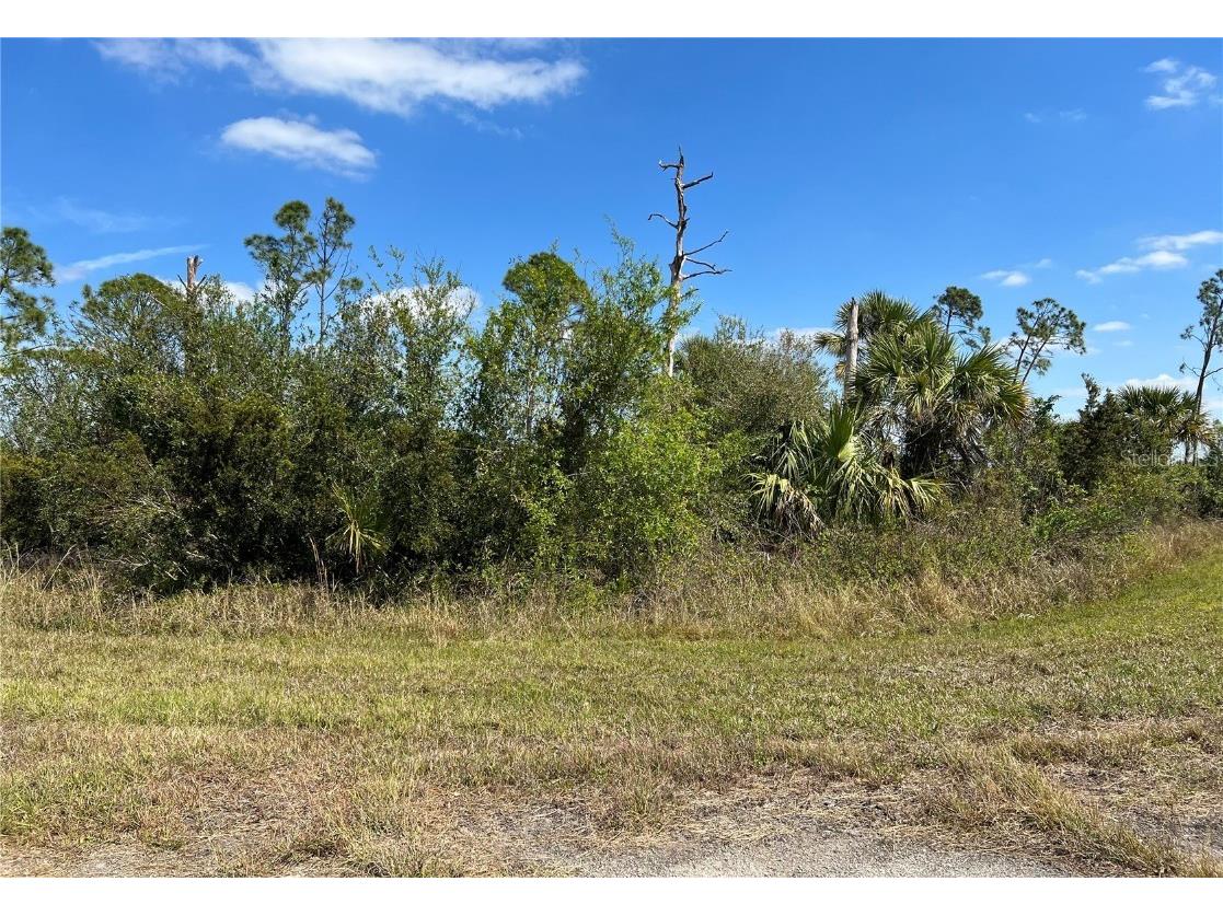 Ewen Drive North Port FL 34288 N6125444 image1