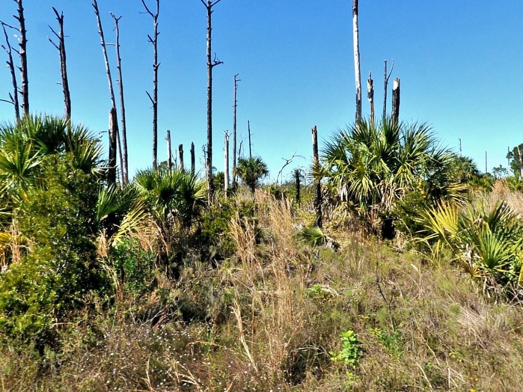 Ewen Lot #17 Circle North Port FL 34288 C7511597 image1