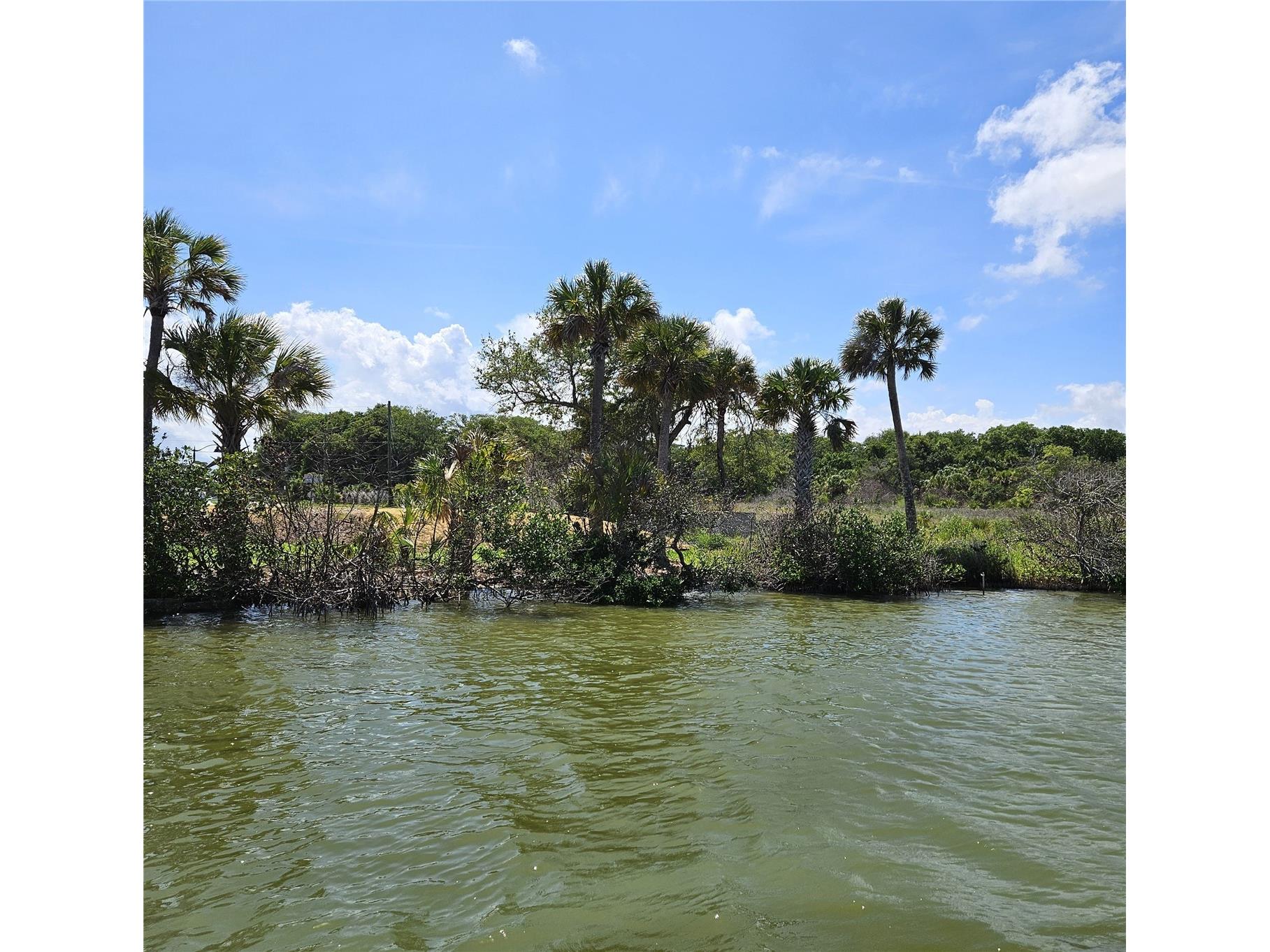  Edgewater FL 32141 - INTRACOASTAL WATERWAY NS1087815 image10
