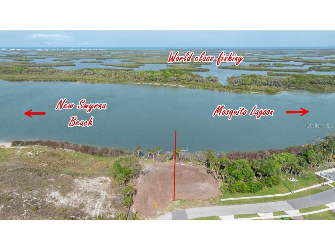  Edgewater FL 32141 - INTRACOASTAL WATERWAY NS1087815 image7