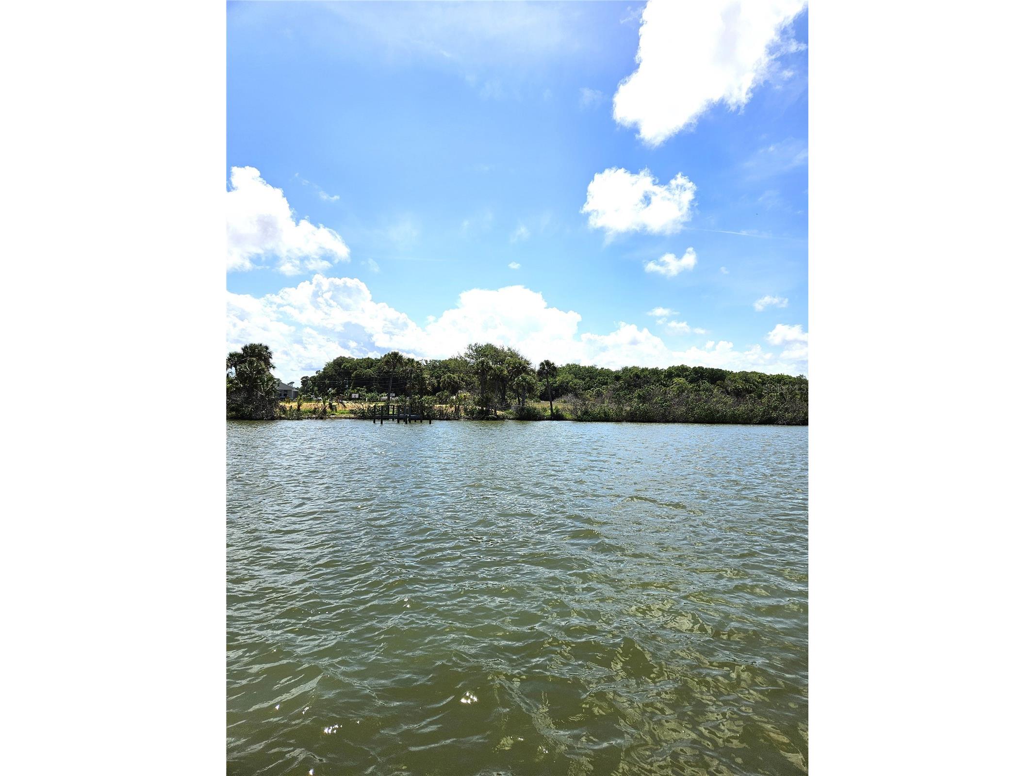  Edgewater FL 32141 - INTRACOASTAL WATERWAY NS1087815 image8