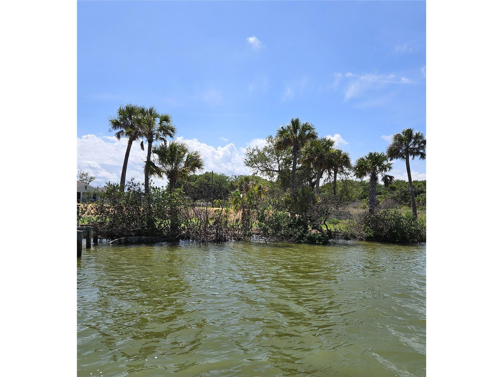 Edgewater FL 32141 - INTRACOASTAL WATERWAY NS1087815 image9