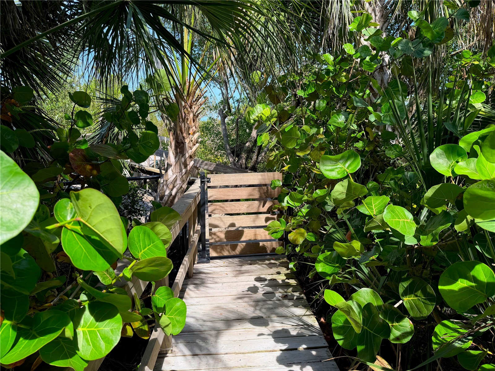 7025 Manasota Key Road Englewood FL 34223 - LEMON BAY ICW N6144518 image39