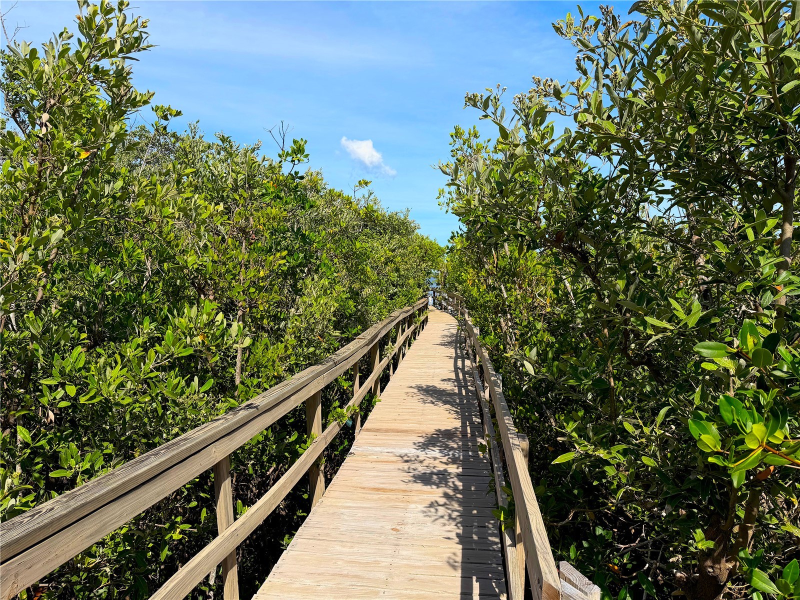 7025 Manasota Key Road Englewood FL 34223 - LEMON BAY ICW N6144518 image40