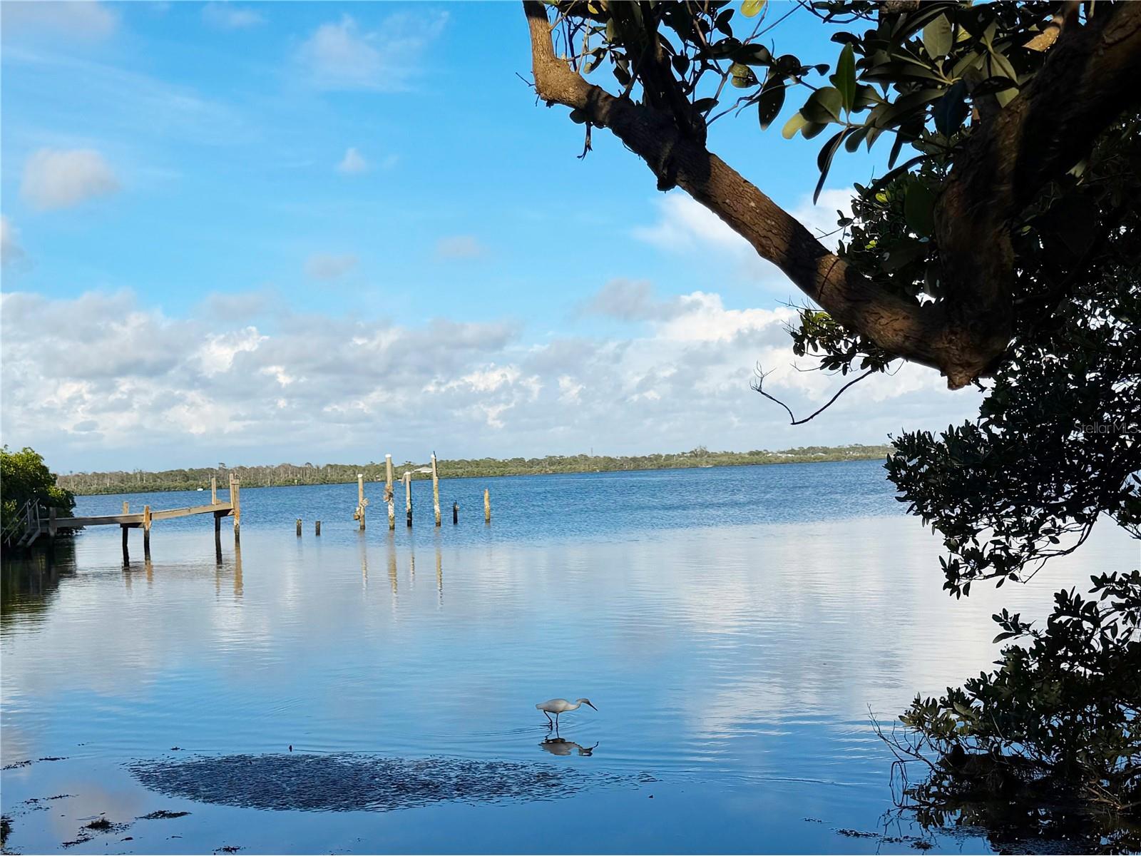 7025 Manasota Key Road Englewood FL 34223 - LEMON BAY ICW N6144518 image41