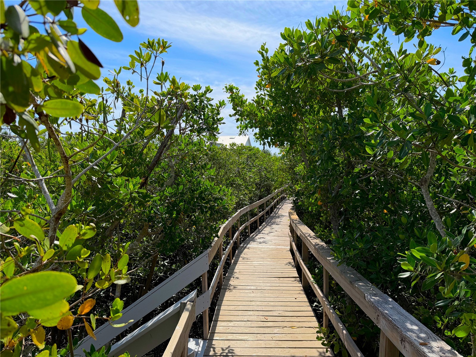 7025 Manasota Key Road Englewood FL 34223 - LEMON BAY ICW N6144518 image42