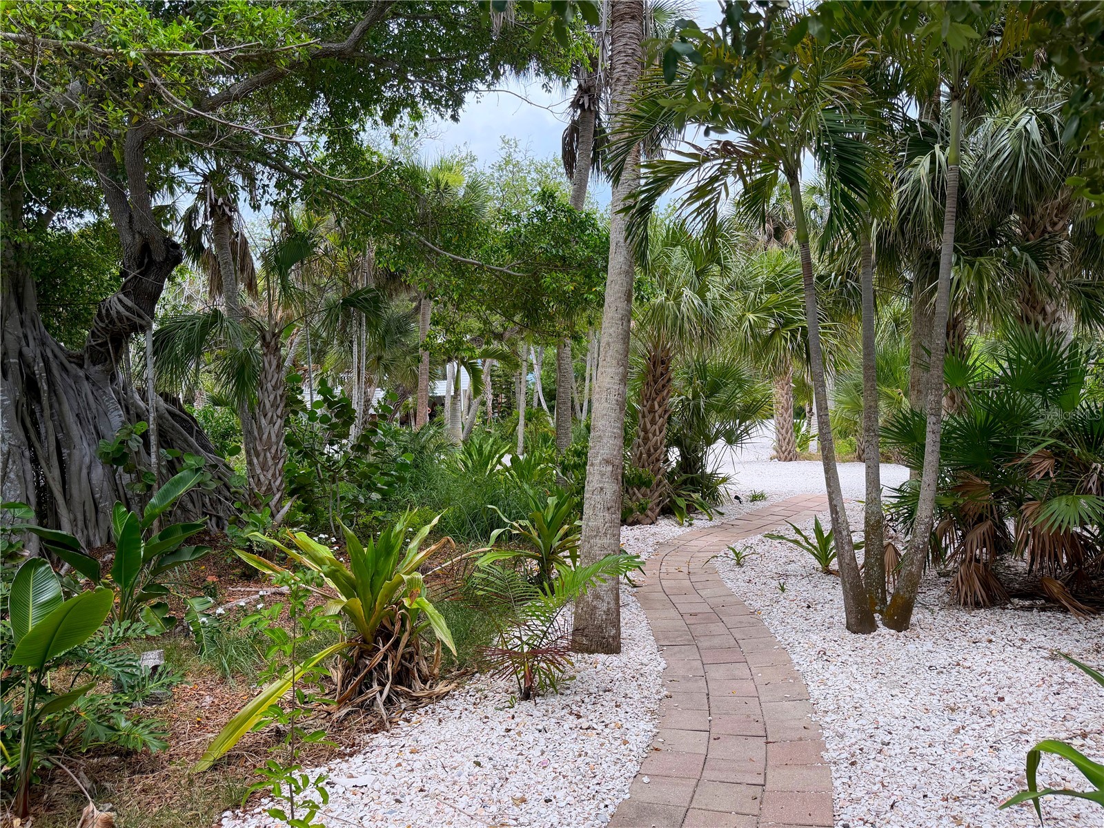 7025 Manasota Key Road Englewood FL 34223 - LEMON BAY ICW N6144518 image45