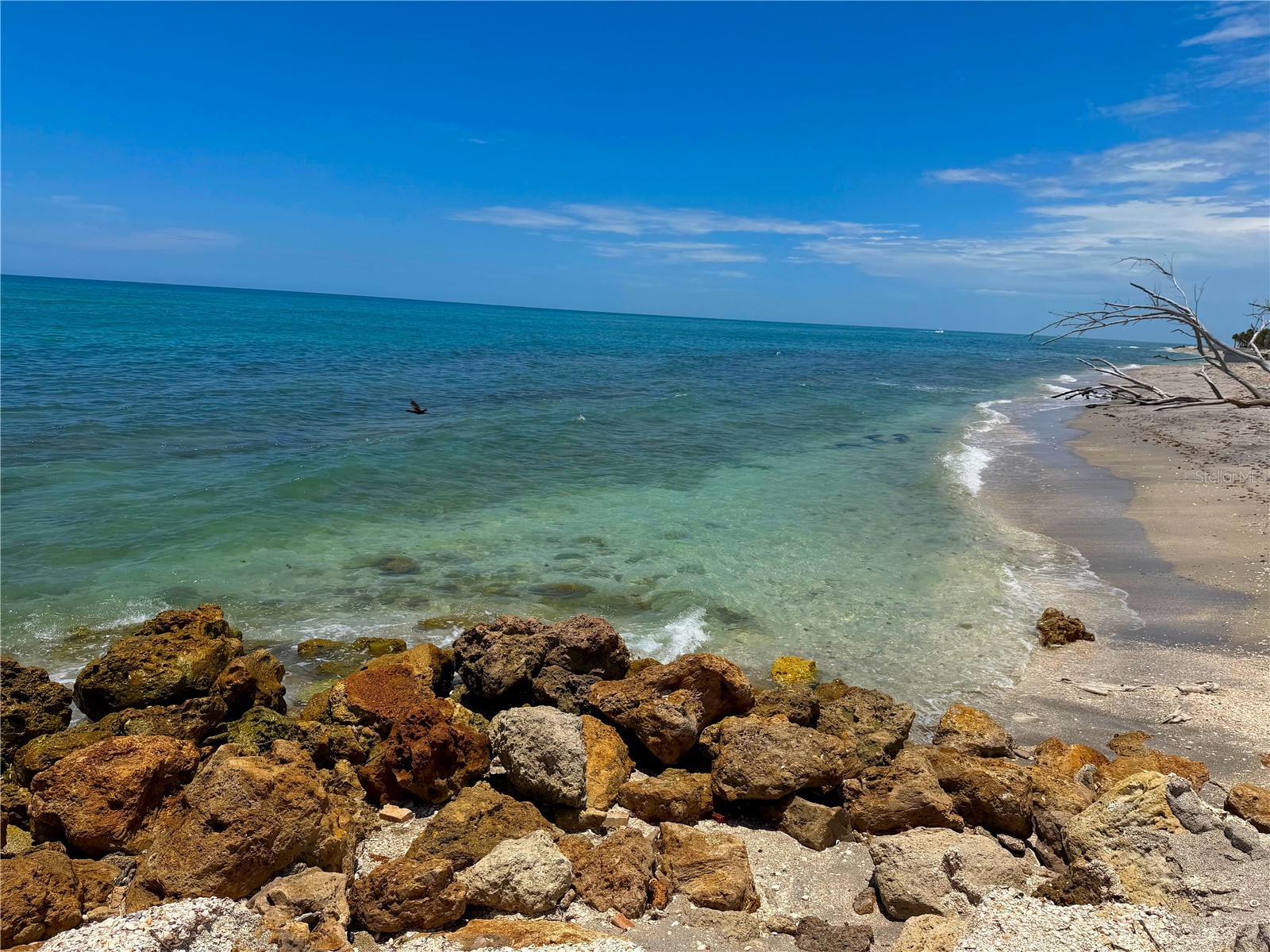 7025 Manasota Key Road Englewood FL 34223 - LEMON BAY ICW N6144518 image47