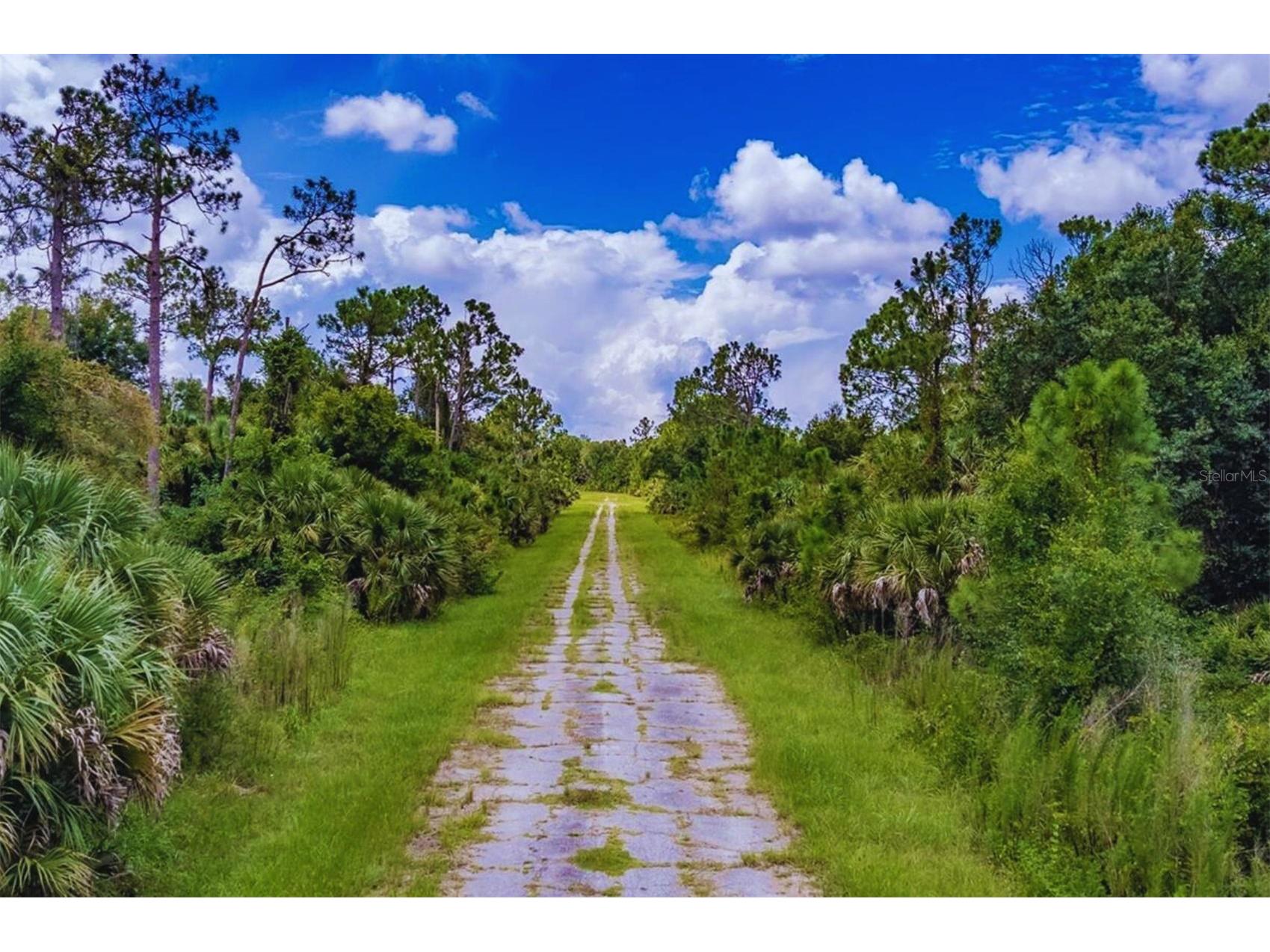Fafton Street North Port FL 34288 A4686391 image1