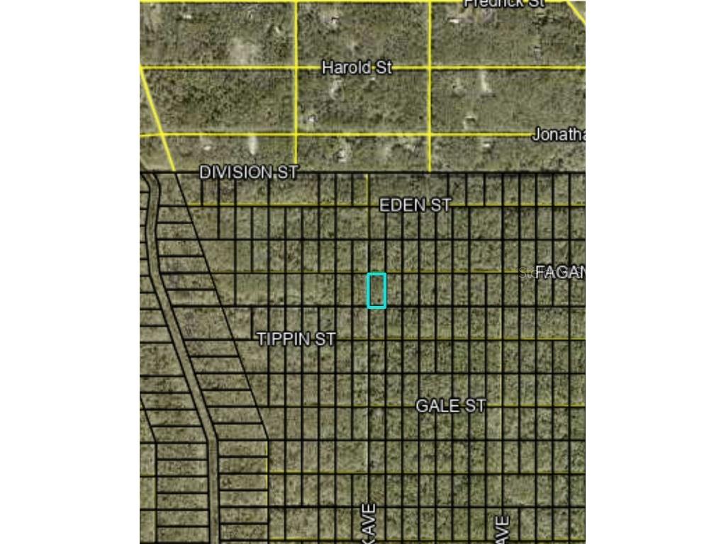 Fagan Hastings FL 32145 FC314230 image1