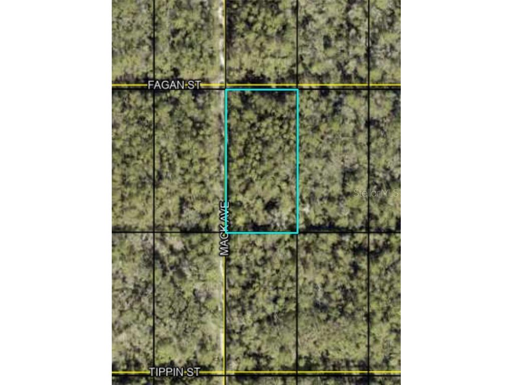 Fagan Hastings FL 32145 FC314230 image2