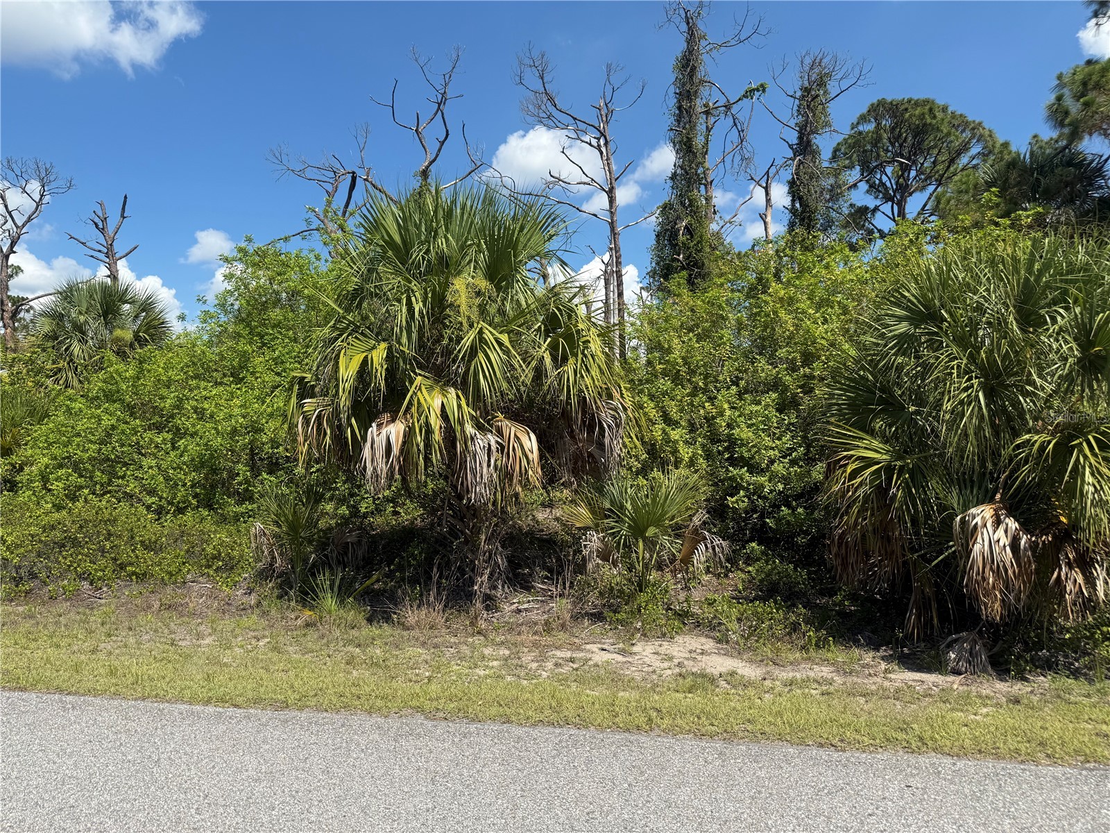 Fairlane Drive North Port FL 34288 C7526932 image1