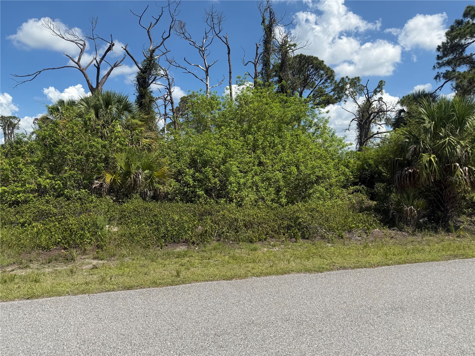 Fairlane Drive North Port FL 34288 C7526932 image2