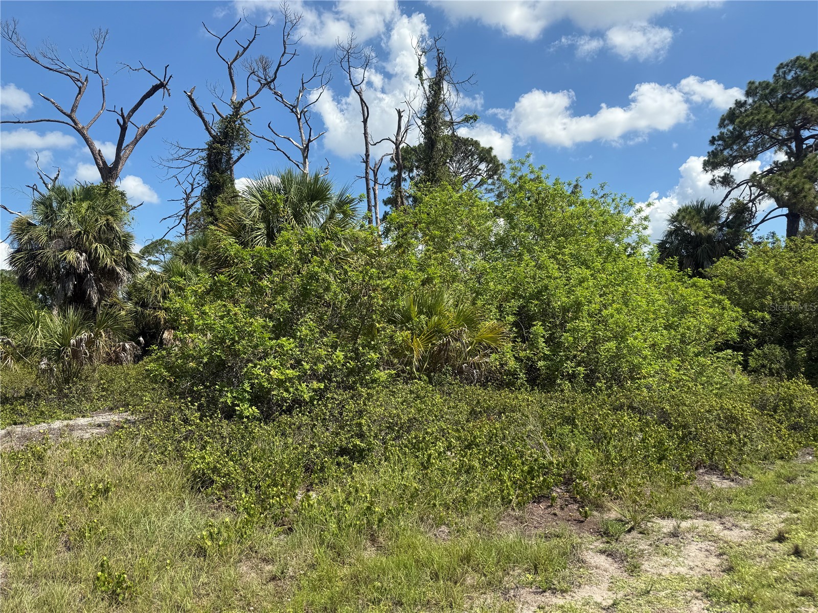 Fairlane Drive North Port FL 34288 C7526932 image3