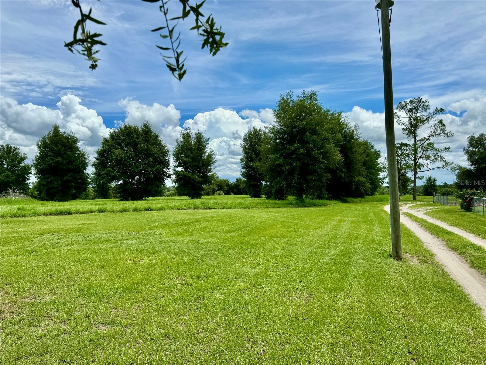 Fairview Heights Road Zephyrhills FL 33541 T3538084 image1