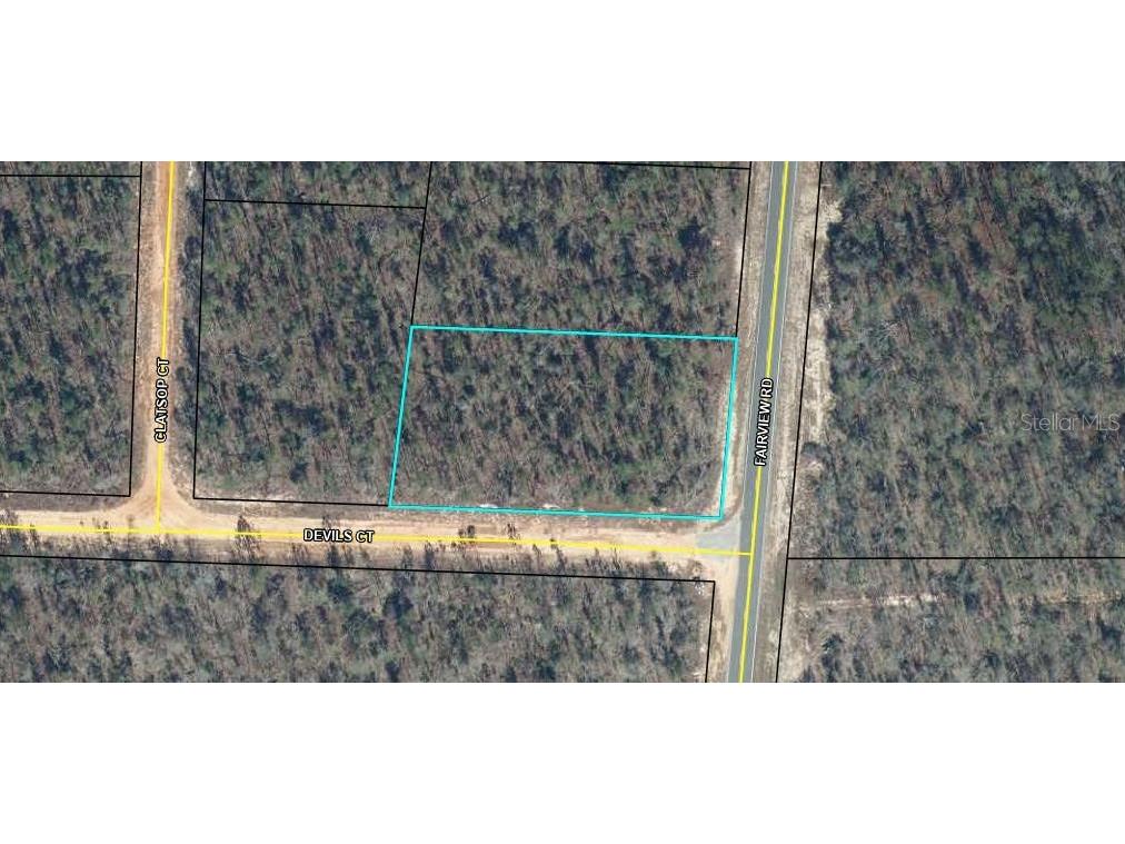 Fairview Road Alford FL 32420 T3414165 image1