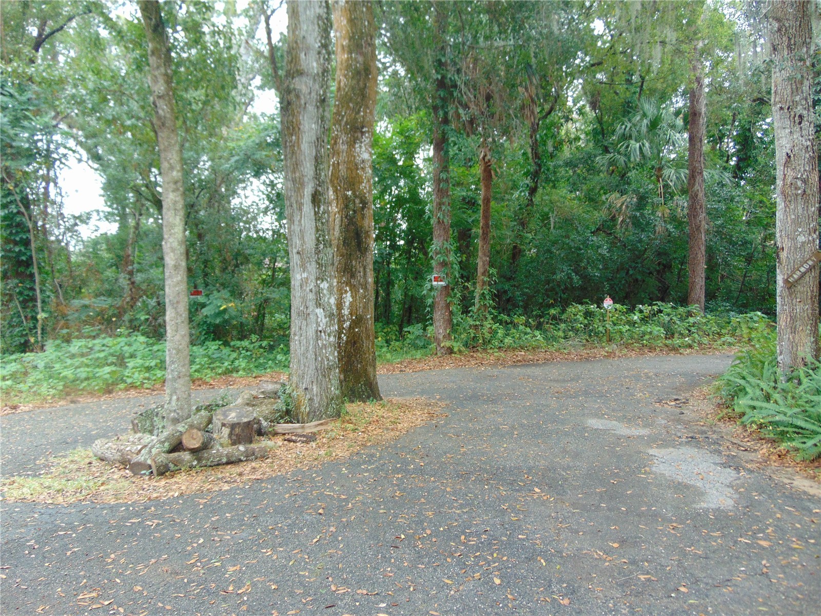Fairway Avenue Eustis FL 32726 NS1086923 image1