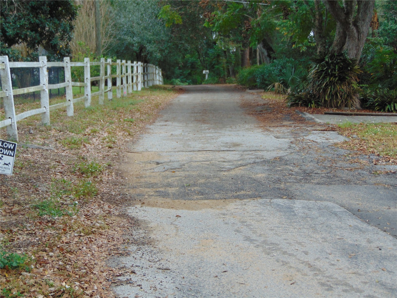 Fairway Avenue Eustis FL 32726 NS1086923 image3
