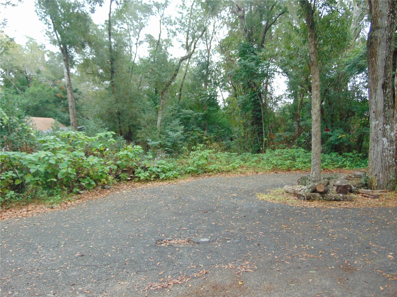 Fairway Avenue Eustis FL 32726 NS1086923 image4
