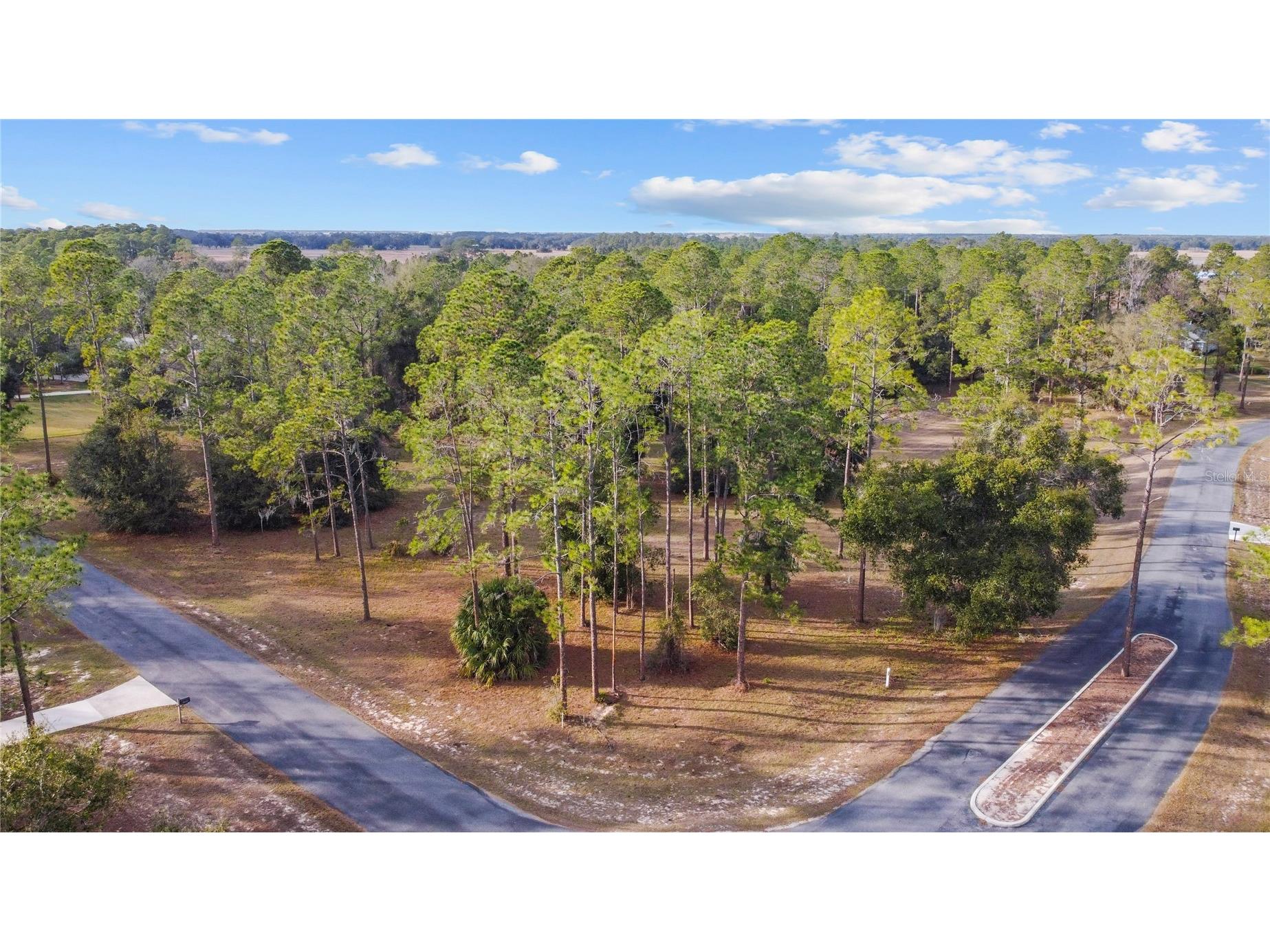 Falabella Groveland FL 34736 O6376979 image1