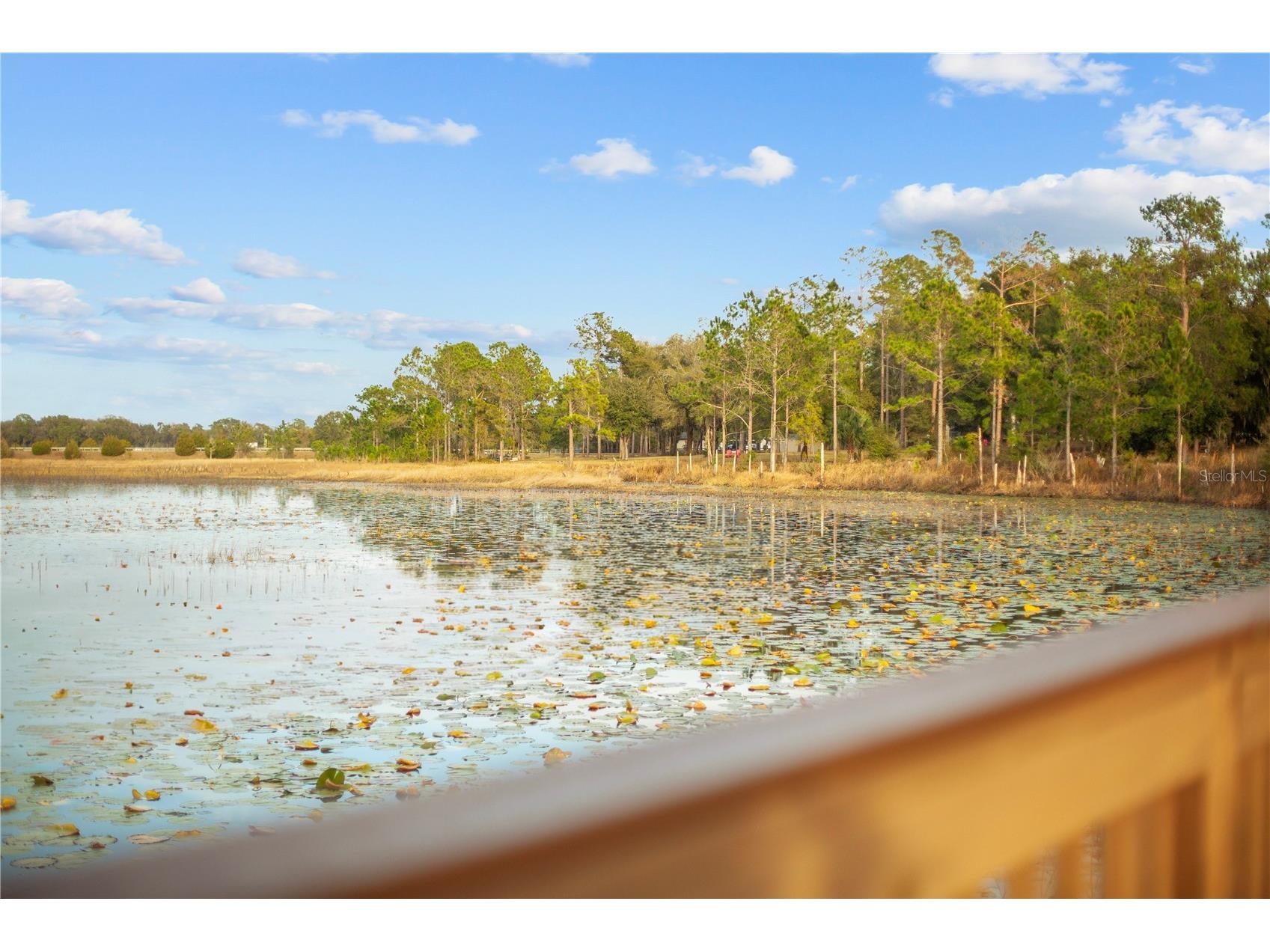 Falabella Groveland FL 34736 O6376979 image10