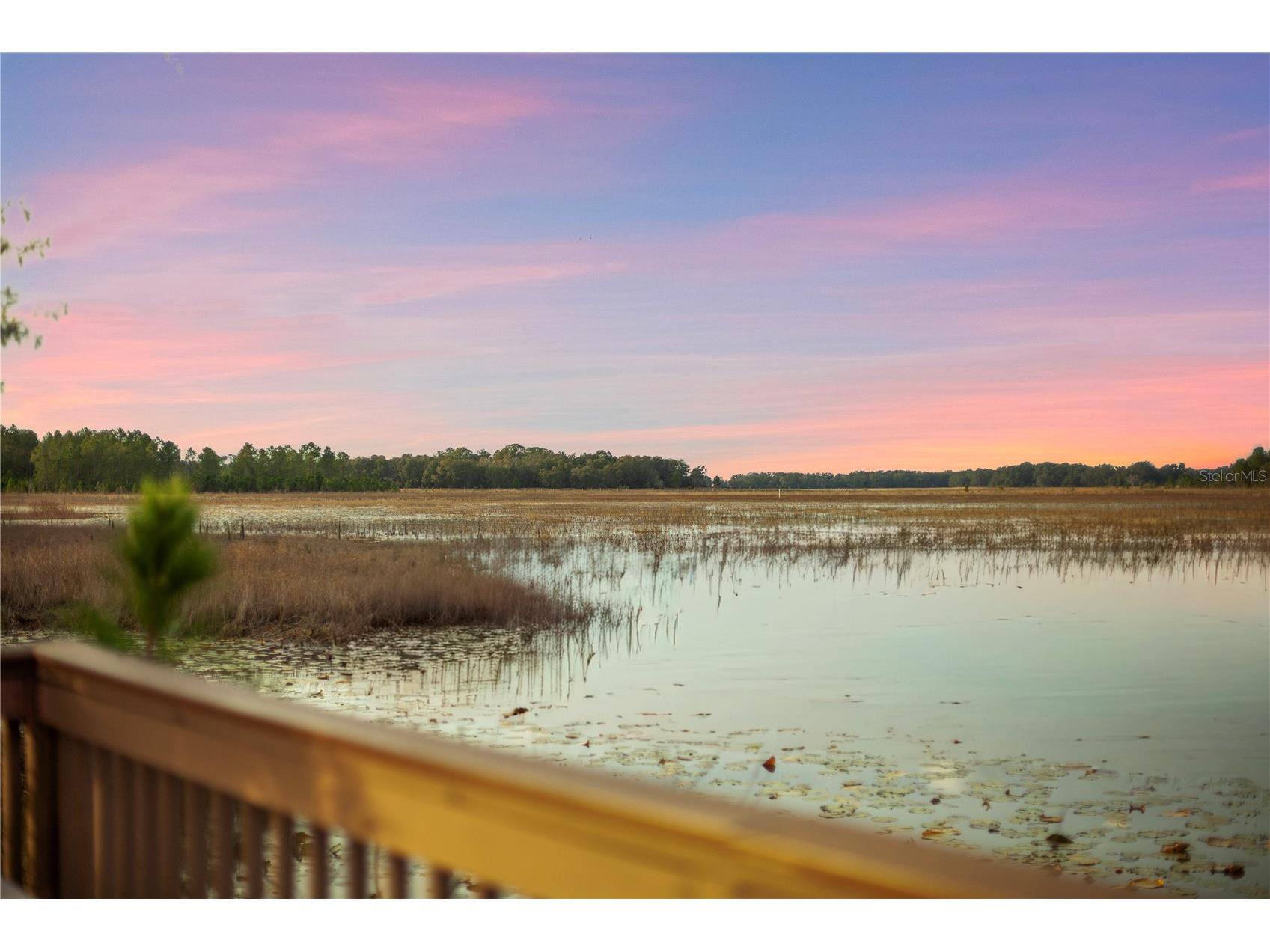 Falabella Groveland FL 34736 O6376979 image11