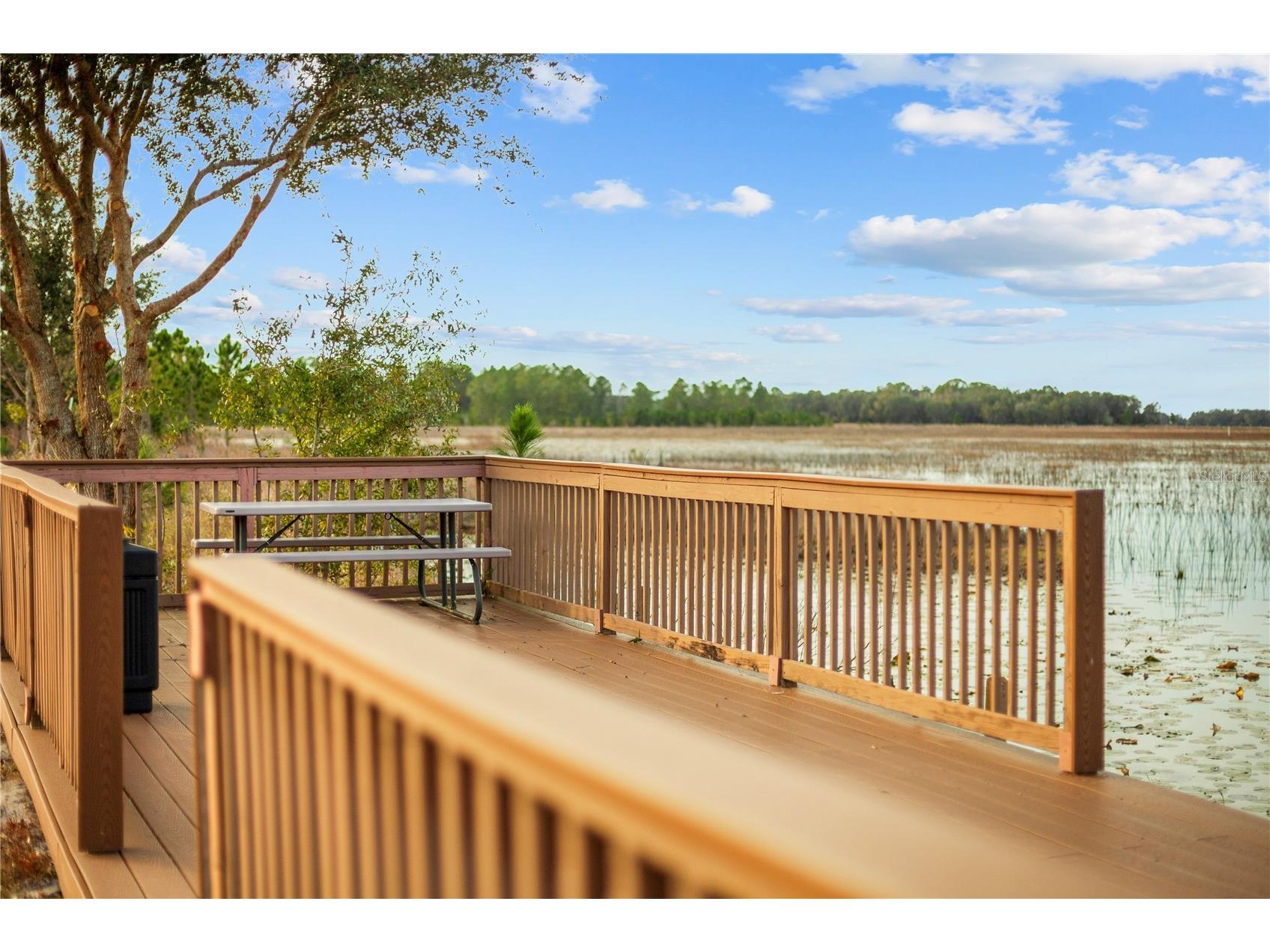 Falabella Groveland FL 34736 O6376979 image13