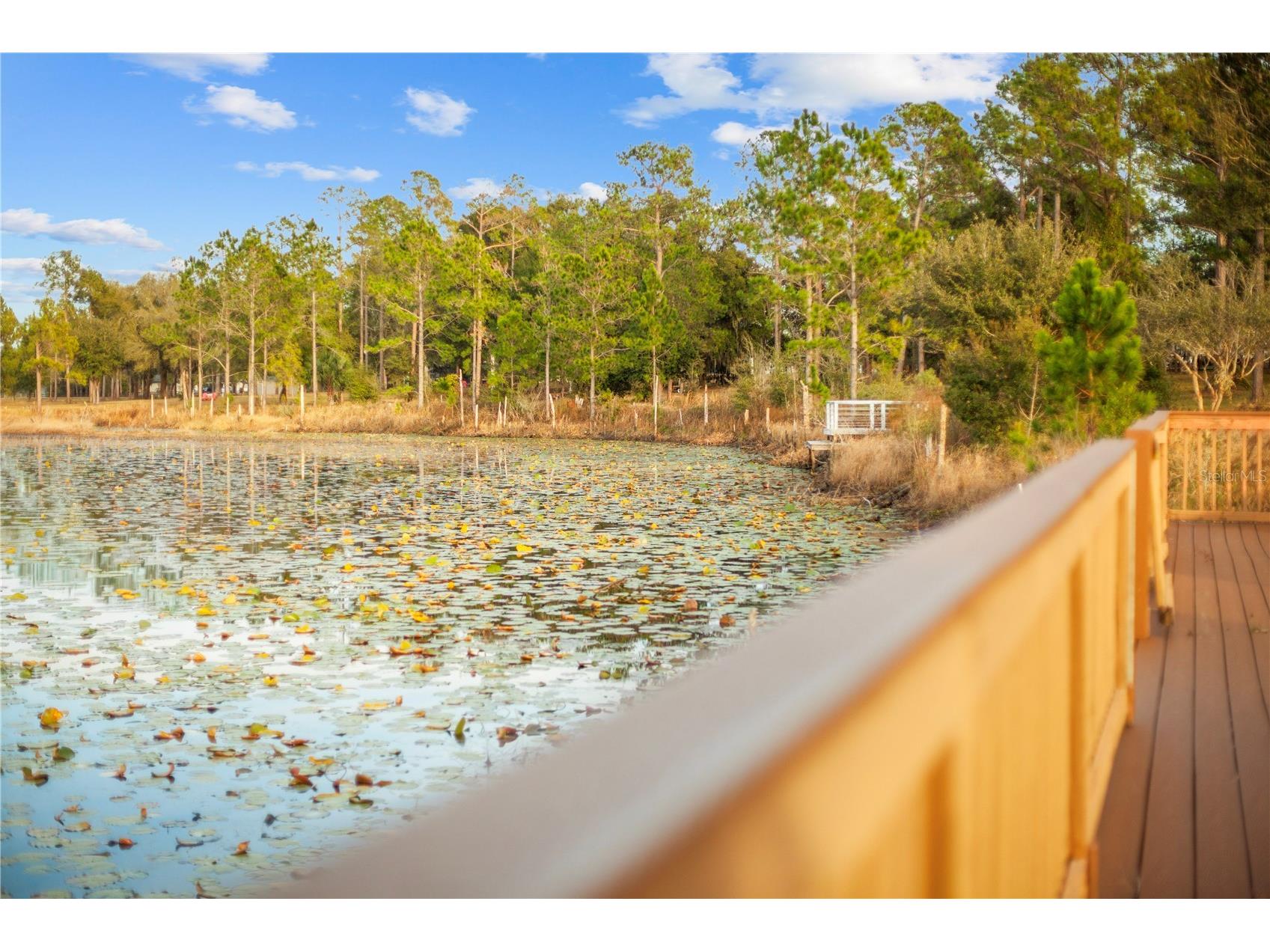 Falabella Groveland FL 34736 O6376979 image14