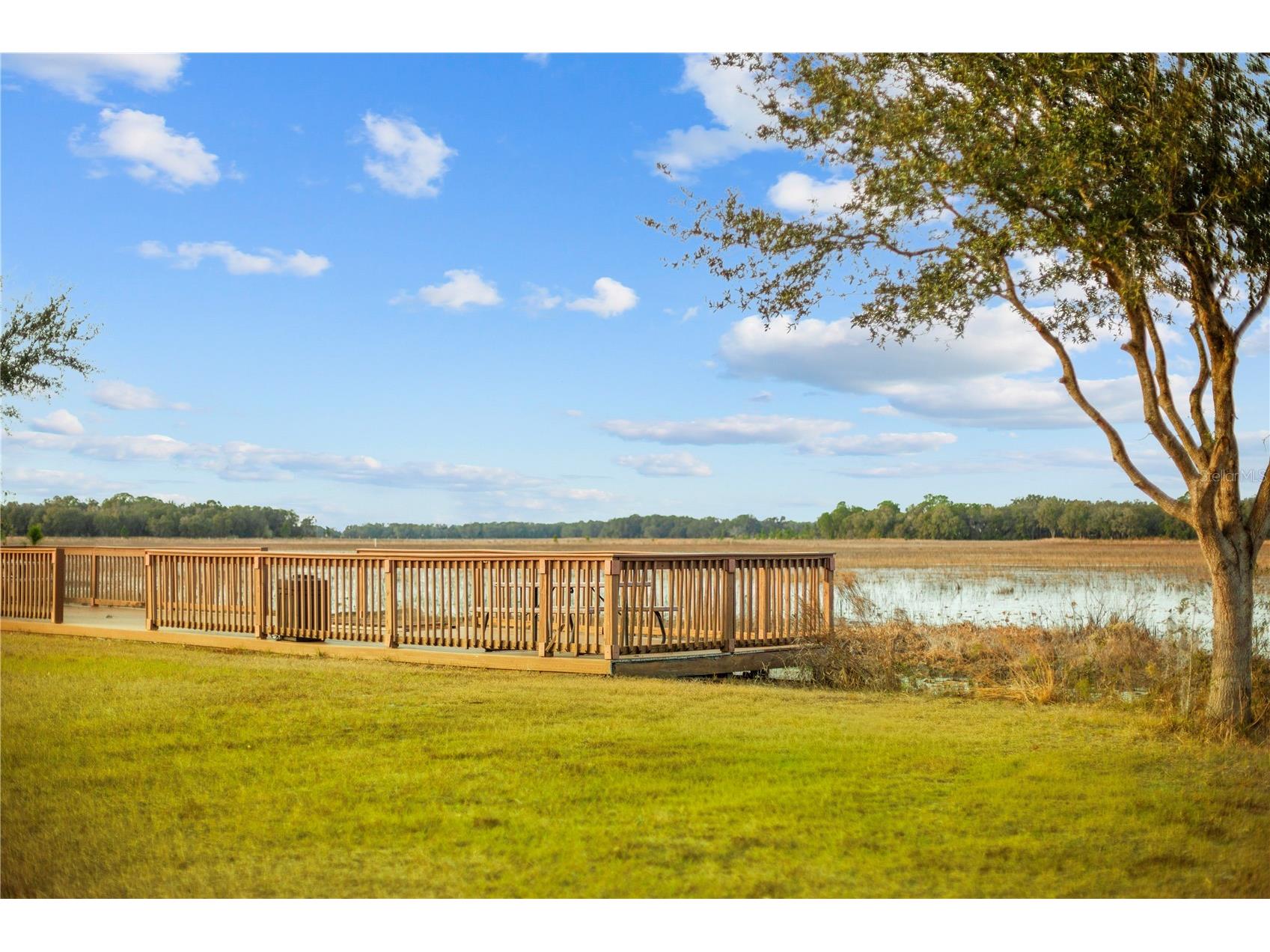 Falabella Groveland FL 34736 O6376979 image15